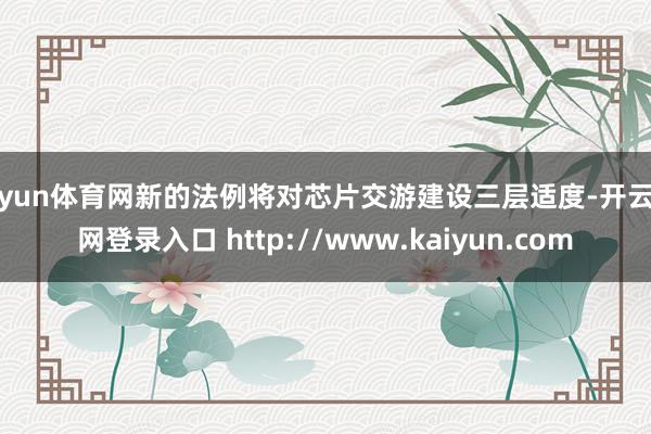 开yun体育网新的法例将对芯片交游建设三层适度-开云官网登录入口 http://www.kaiyun.com