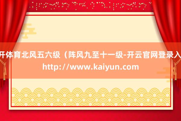 云开体育北风五六级（阵风九至十一级-开云官网登录入口 http://www.kaiyun.com