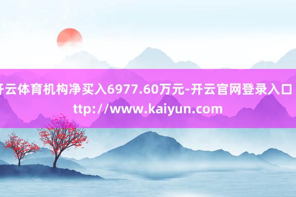 开云体育机构净买入6977.60万元-开云官网登录入口 http://www.kaiyun.com