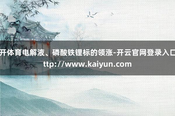 云开体育电解液、磷酸铁锂标的领涨-开云官网登录入口 http://www.kaiyun.com
