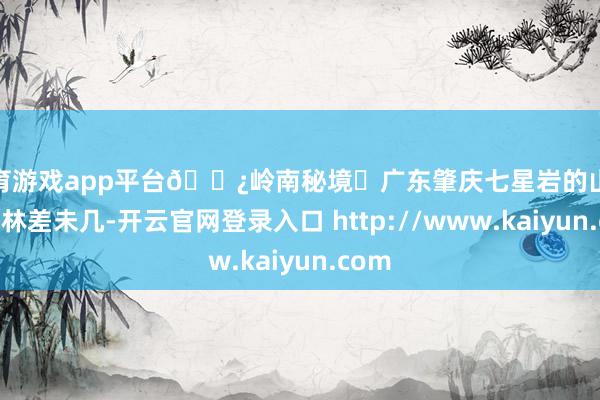 体育游戏app平台🌿岭南秘境・广东肇庆七星岩的山水和桂林差未几-开云官网登录入口 http://www.kaiyun.com