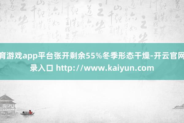 体育游戏app平台张开剩余55%冬季形态干燥-开云官网登录入口 http://www.kaiyun.com