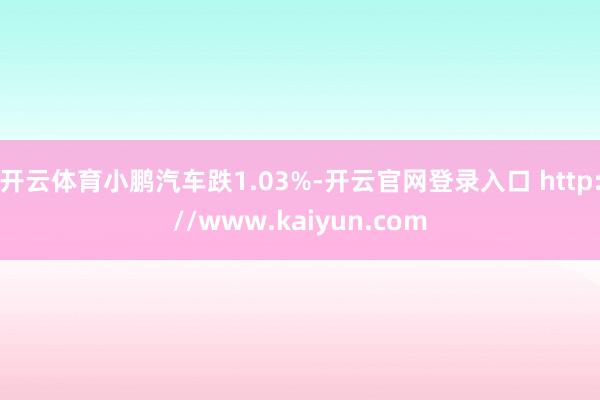 开云体育小鹏汽车跌1.03%-开云官网登录入口 http://www.kaiyun.com